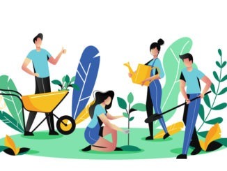 Volunteering, charity social concept. Volunteer people plant trees in park, vector illustration. Ecological lifestyle
