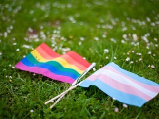 Rainbow LGBTQIA pride flag and transgender pride flag in grass and daises