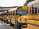 School buses lined up ready to pick up kids