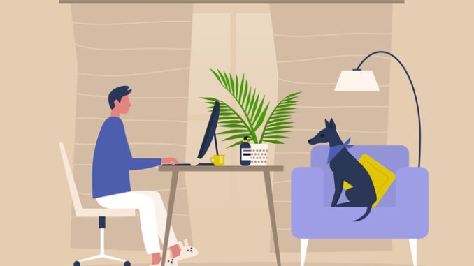 Young male character working from home, with his dog as a colleague