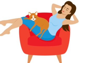 Young woman relaxing in armchair with cat