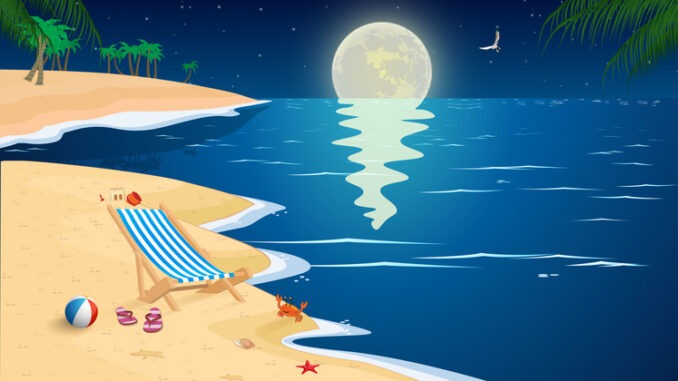 landscape of the beach in full moon night