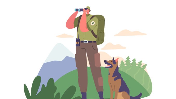 Ranger Forester Character Observes Through Binoculars,