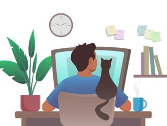 man works on a computer with a cat