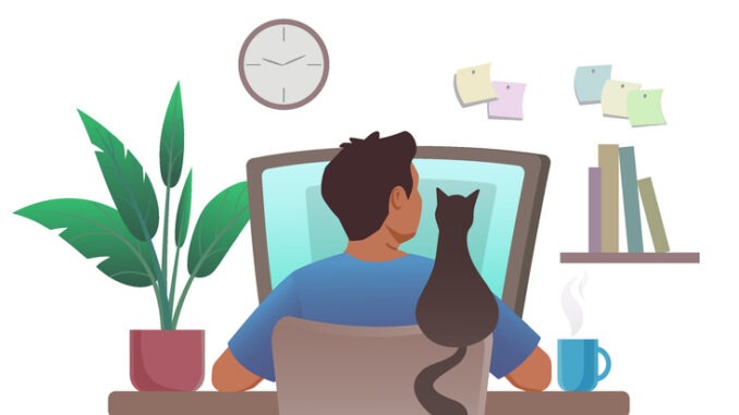 man works on a computer with a cat