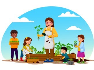 Cartoon teacher and children are planting vegetables together at school garden, vector ecology education, environment and nature. Smiling young woman, boys and girls student with green seedlings