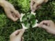 Group of volunteers help solve environmental problems. global teamwork and business. World environment day.