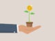 Businessman investor hand tendering hold plants pot with growing money tree with dollar sign. Growth stock return or dividend investment, saving and prosperity or success business achievement concept.