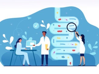 Male and female doctors are studying gut microflora together. Concept of digestive stomach living organisms and gastrointestinal microbe living in gut. Flat cartoon vector illustration
